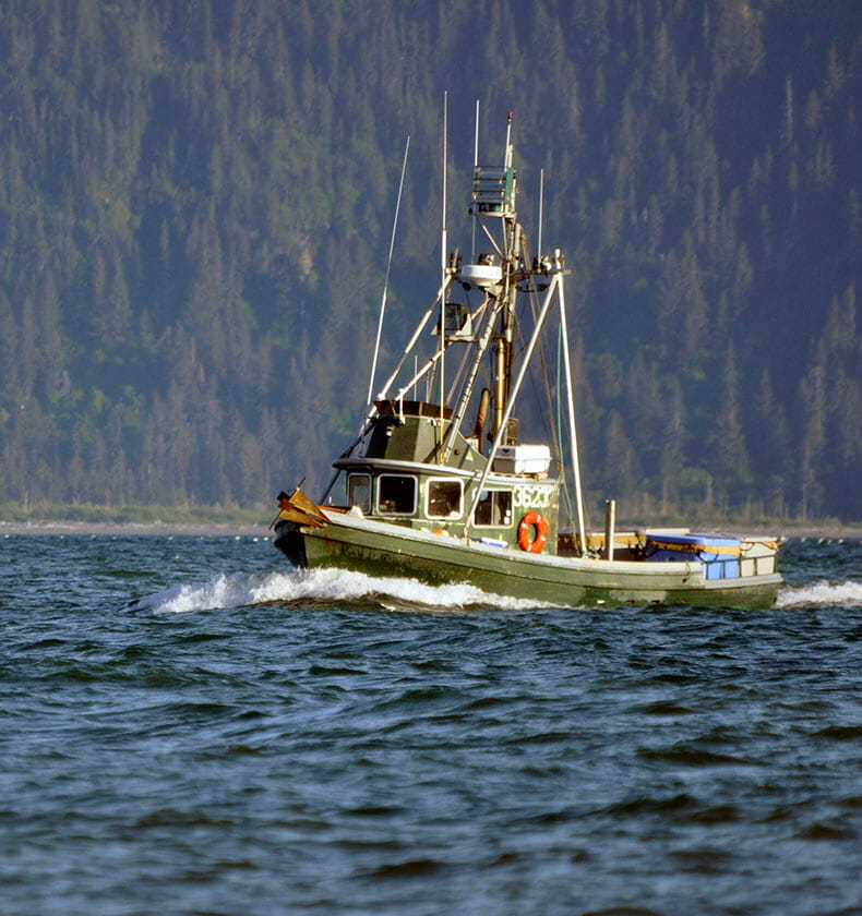 homer fishing charters